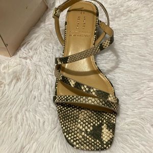 Lauren Conrad Shoes New